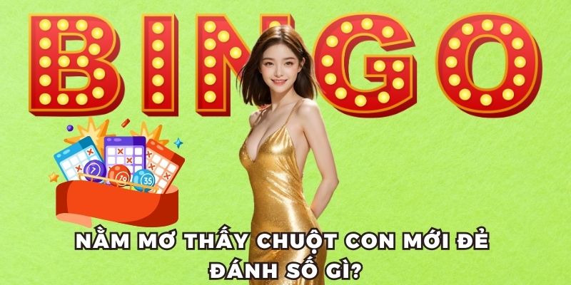 Giải Mã Nằm Mơ Thấy Chuột Đánh Số Gì? Những Số Đánh Là Trúng 3 Nằm mơ thấy chuột đánh số mấy? chuột con mới đẻ